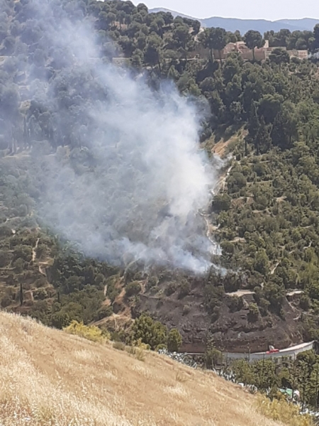 Lugar donde se ha producido el incendio (INFOCA)