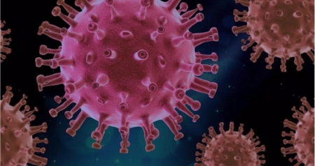 Recreación artística del virus SARS-CoV-2 (PIXABAY/CSIC) 