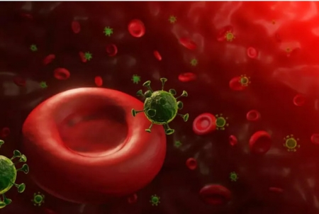 Covid-19, globulos rojos, sangre y covid, coronavirus. Virus (GETTY - ARCHIVO)