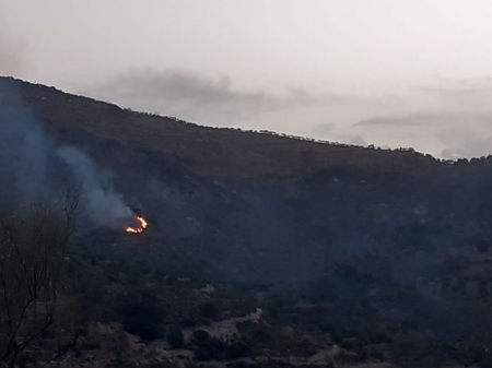 Lugar del incendio (INFOCA)