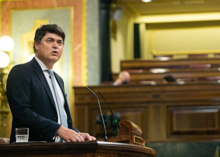 Intervención de Carlos Rojas en el Congreso de los Diputados (PP) 