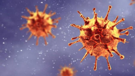 Imagen del coronavirus (BBC) 
