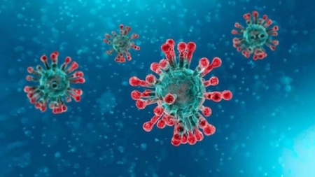 Coronavirus (UPM) 