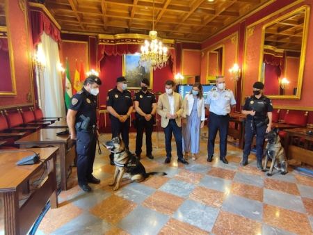 Recepción a Stan Lee (AYTO. GRANADA) 