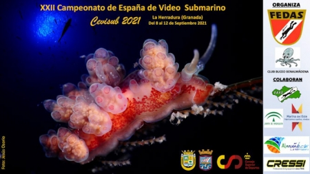 AYUNTAMIENTO ALMUÑÉCAR
