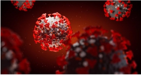 coronavirus, covid-19 (MAKSIM TKACHENKO) 