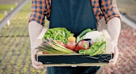 Frutas y verduras de Granada, en imagen de archivo (DIPUTACIÓN) 