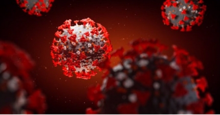 coronavirus, covid-19 (MAKSIM TKACHENKO) 