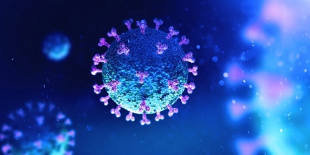 Imagen del coronavirus (CUIDATE PLUS) 