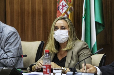 Marifran Carazo durante la comisión de fomento (JUNTA)
