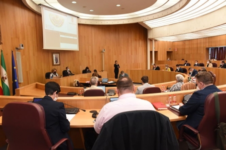 Pleno ordinario de la Diputación de Granada (M. CASANOVA / DIPGRA)