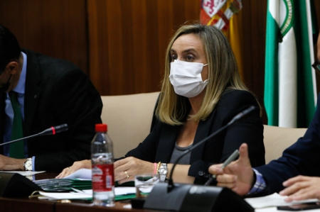 Marifrán Carazo durante la comisión de fomento (JUNTA) 