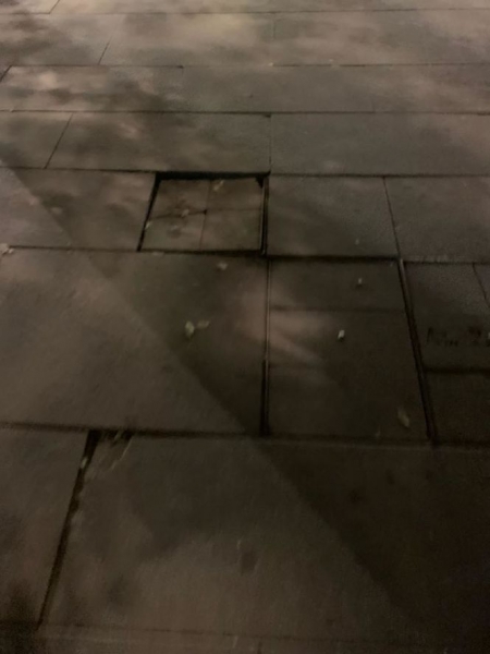 Estado de las baldosas en Avenida de la Constitución (VOX)