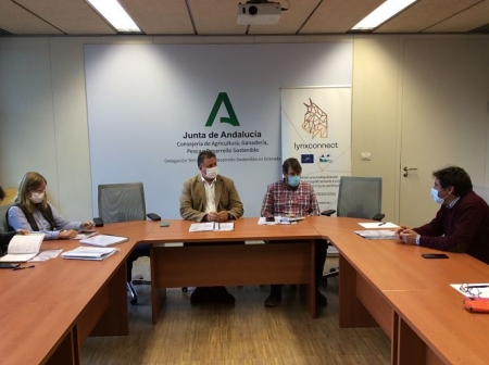 Imagen de la reunión (JUNTA)