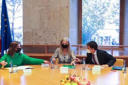 Imagen de la reunión (JUNTA)