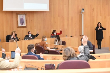 Pleno de la Diputación de Granada (S. BÁRCENA / DIPGRA)
