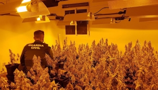 Imagen de archivo de una plantación de cannabis descubierta en una casa ocupada (GUARDIA CIVIL)