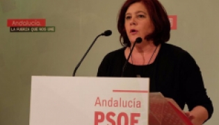 La Diputada Nacional del PSOE, Elvira Ramón (PSOE)