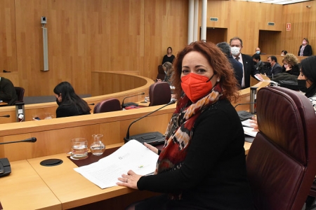 La Diputada Provincial de IU, Mari Carmen Pérez (IU)