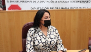 La diputada provincial de Unidas Podemos, Alejandra Durán (UNIDAS PODEMOS) 