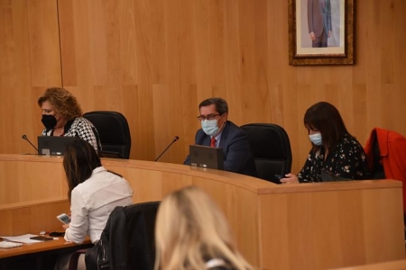 Pleno de la Diputación de Granada (S. BÁRCENA / DIPGRA)