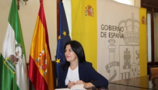  La subdelegada del gobierno, Inmaculada López Calahorro en rueda de prensa (SUBDELEGACIÓN)
