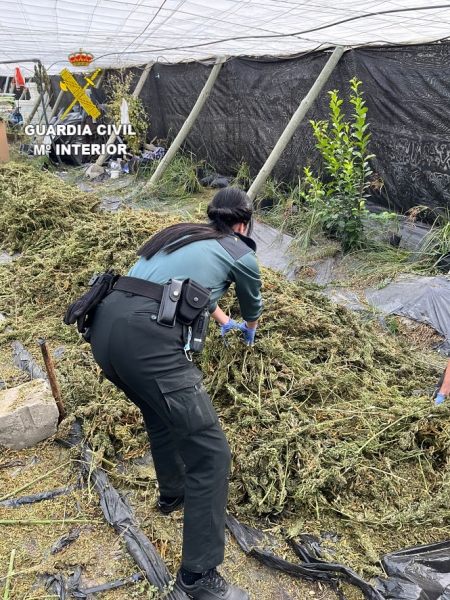 Una agente de la Guardia CIvil en la plantación (GUARDIA CIVIL)