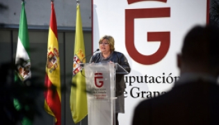 La diputada de Empleo y Desarrollo Sostenible, Ana Muñoz (R. MARTÍNEZ / DIPGRA)