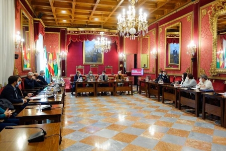 Reunión del comité local de expertos contra el covid (AYTO. GRANADA) 