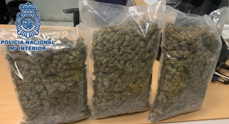 Marihuana intervenida (POLICÍA NACIONAL)