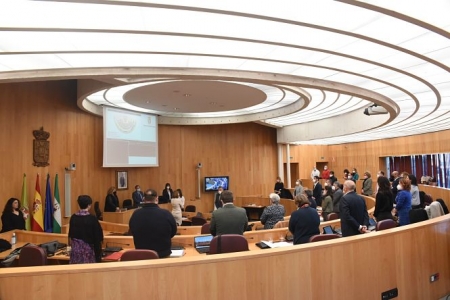 Pleno de la Diputación de Granada (M. CASANOVA / DIPGRA) 