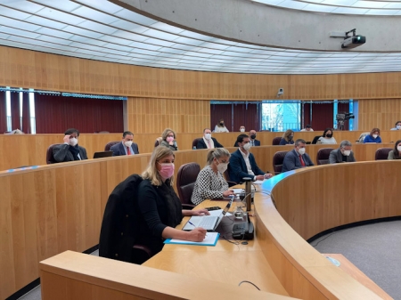 La portavoz del PP en Diputación, Inmaculada Hernández (PP) 