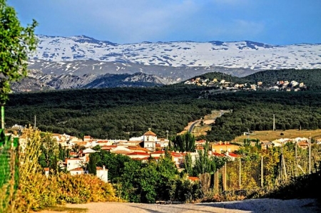 AYUNTAMIENTO LA ZUBIA 