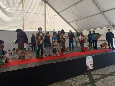 IV Concurso Canino celebrado esta mañana en Monachil con motivo de San Antón (AYTO. MONACHIL) 