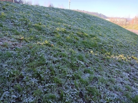 Heladas a primera hora en Basauri, Bizkaia (EUROPA PRESS) 