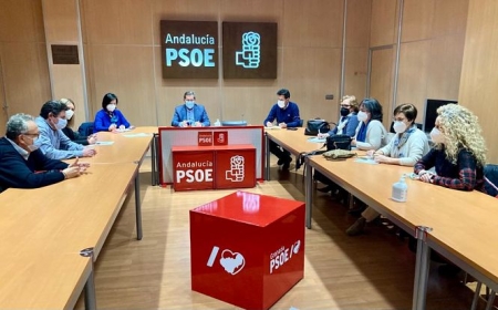 Imagen del encuentro en la sede del PSOE (PSOE)