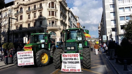 Movilización del 19 de febrero de 2020 en defensa del sector agrario y ganadero en Granada (ASAJA GRANADA)