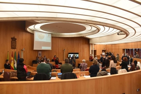 Pleno de la Diputación de Granada (DIPGRA)