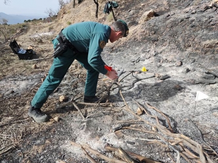 Un agente de la Guardia Civil en el lugar del incendio (GUARDIA CIVIL) 