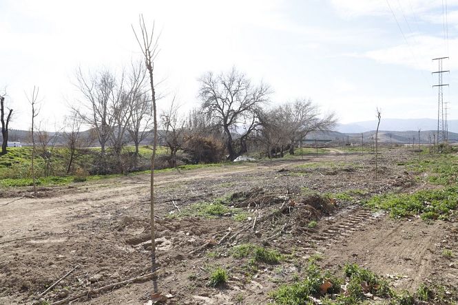 Nueva zona verde de Huétor Tájar, en la que el Ayuntamiento está sembrando más de 400 árboles (AYTO. HUÉTOR TÁJAR) Nueva zona verde de Huétor Tájar, en la que el Ayuntamiento está sembrando más de 400 árboles (AYTO. HUÉTOR TÁJAR)