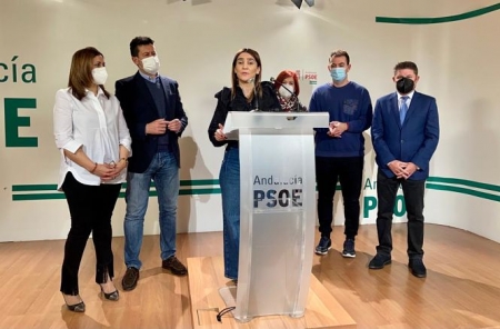 Imagen de la rueda de prensa de Olga Manzano (PSOE)