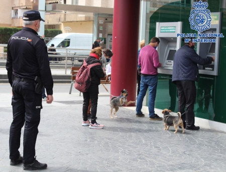 (POLICÍA NACIONAL)