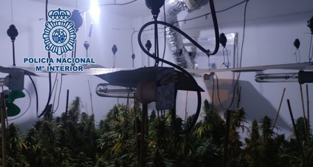 Imagen de una de las plantaciones (POLICIA NACIONAL)