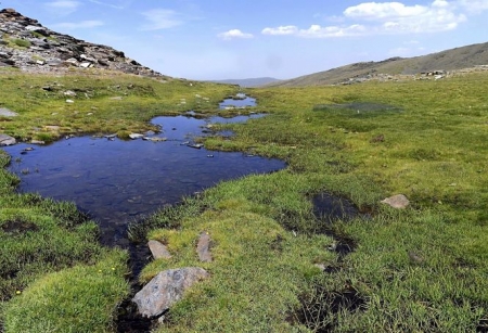 Borreguiles, en el entorno de Sierra Nevada (JUAN ENRIQUE GÓMEZ-FUNDACIÓN AguaGranada) 