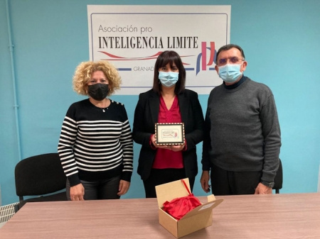 Presentación del proyecto (DIPGRA)