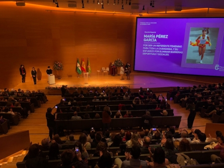 Entrega de los premios igualdad (DIPGRA)