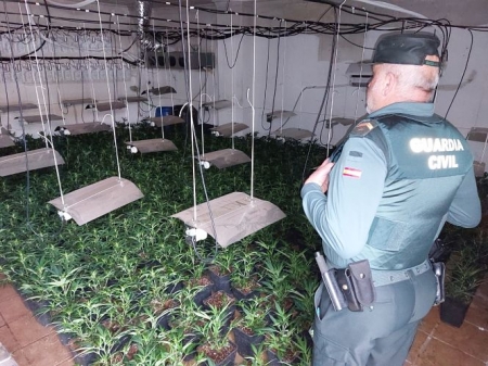 Un agente de la Guardia CIvil en una de las plantaciones (GUARDIA CIVIL)