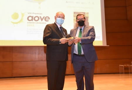 José Entrena entrega el premio a uno de los galardonados (R. MARTÍNEZ / DIPGRA) 
