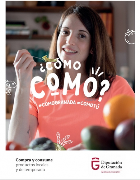 Cartel de la campaña (DIPGRA)