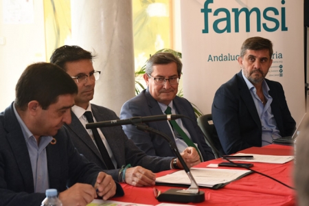 Reunión de la FAMSI (R. MARTÍNEZ HERNÁNDEZ)